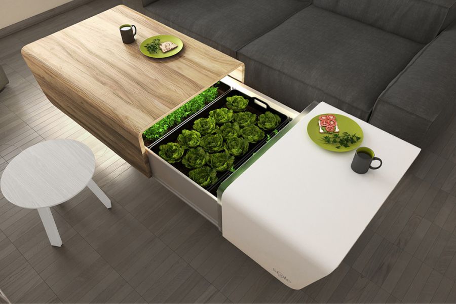 Garden coffee table