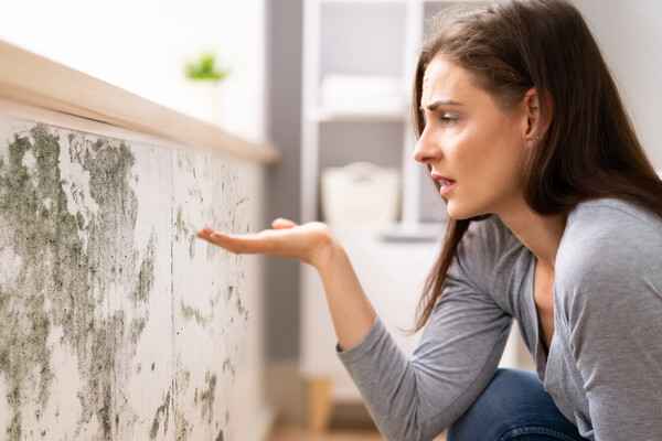 how to check for mold in apartment