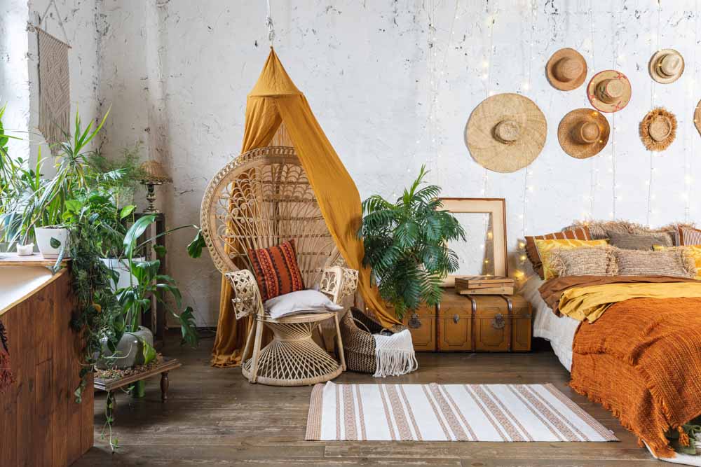 indoor plant for your boho bedroom